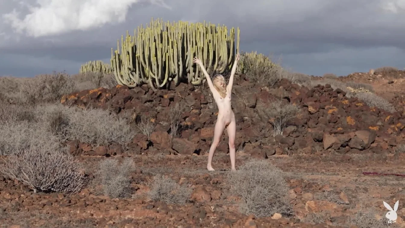 PlayboyPlus Emmi Wild Winds XXX